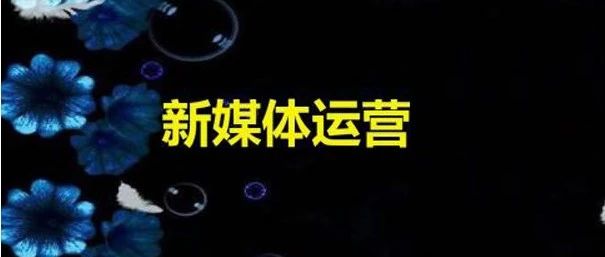 社交电商时代，人人皆可带货，人人都是电商！