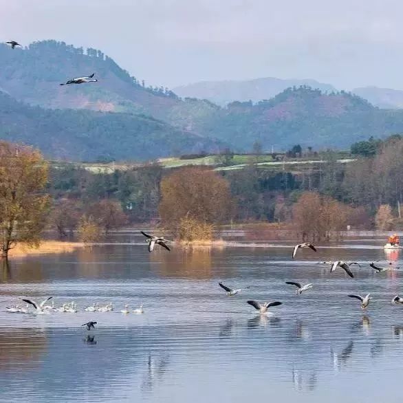 以湿地为背景的乡村旅游发展模式探析