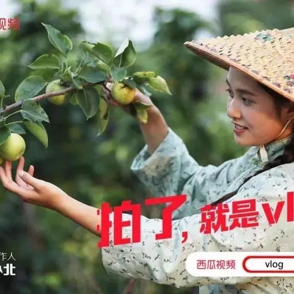 短视频风口来袭,你做好准备了吗?
