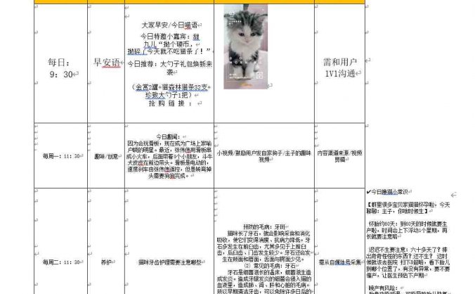 宠物社群活跃SOP方案(免费下载)