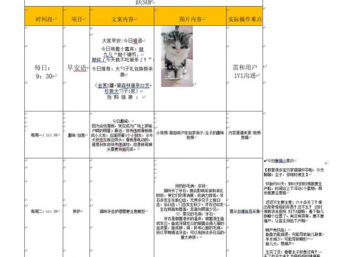 宠物社群活跃SOP方案(免费下载)